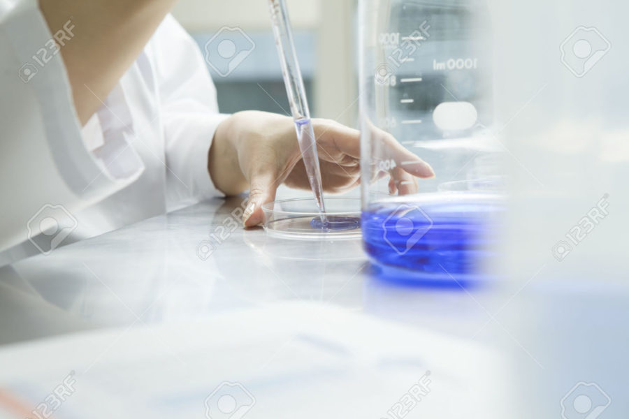 50948820-Women-researchers-have-put-the-liquid-in-a-Petri-dish-with-dropper-Stock-Photo 50948820-Women-researchers-have-put-the-liquid-in-a-Petri-dish-with-dropper-Stock-Photo